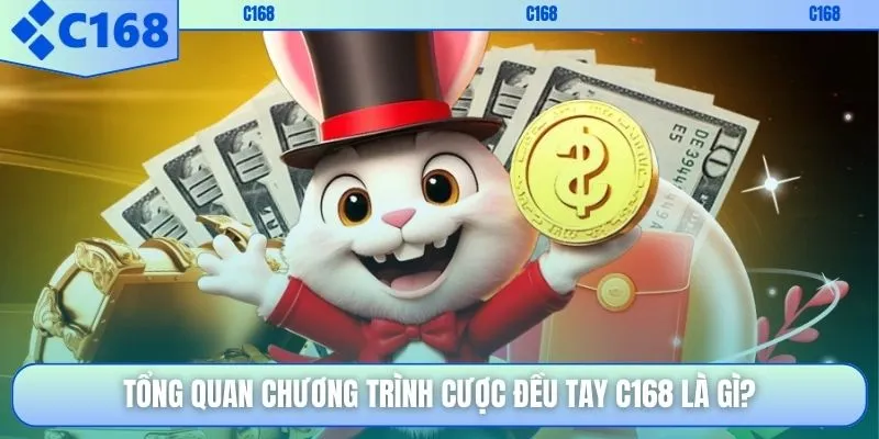 Tổng quan chương trình cược đều tay C168 là gì?